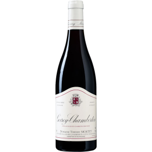 DOMAINE THIERRY MORTET GEVREY CHAMBERTIN 2022 750ml
